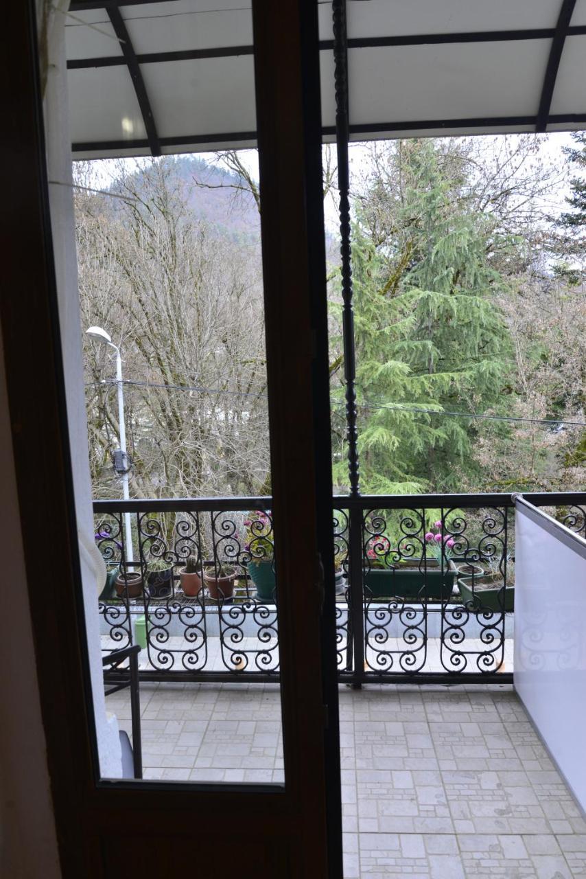 Hotel Victoria Borjomi Esterno foto